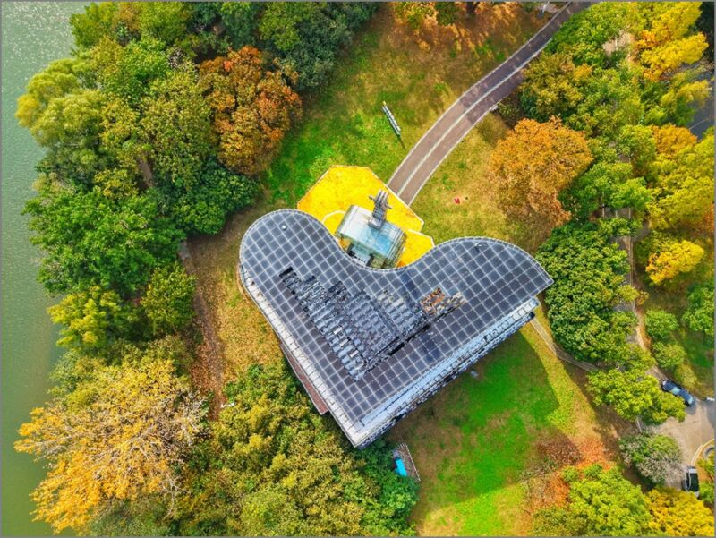 “兩琴相悅”每一幀都是壁紙